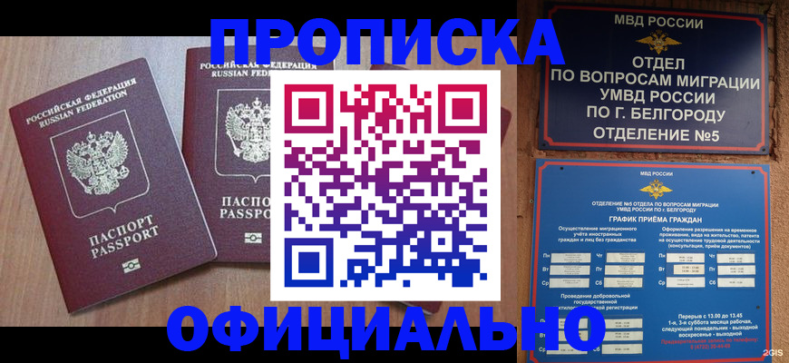 найти адрес прописки в Ржеве